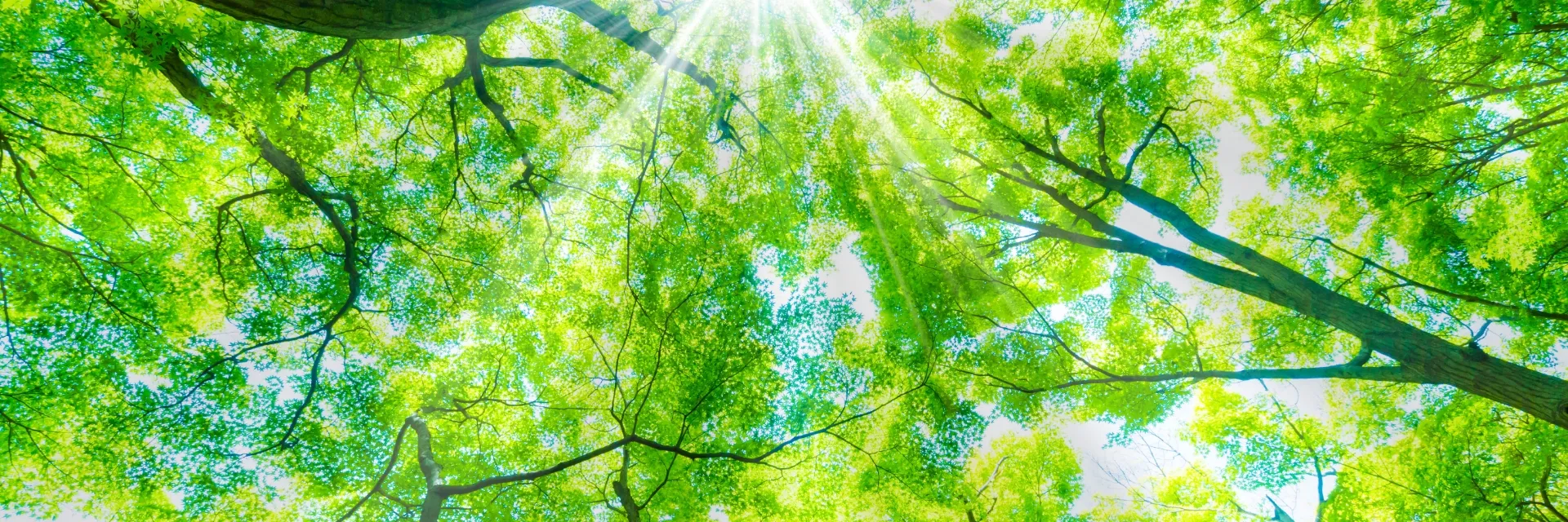 あなたのお悩みに、確かな経験で寄り添います。まずはお気軽にご相談ください。